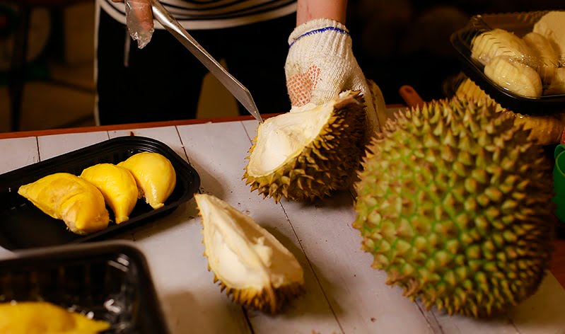 musang-king